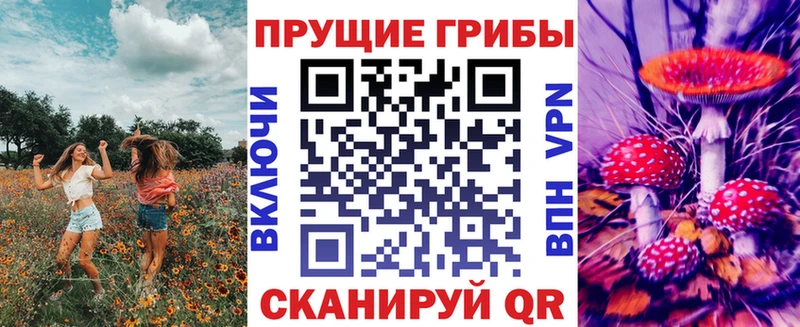 Псилоцибиновые грибы мухоморы  ссылка на мегу как зайти  Междуреченск 